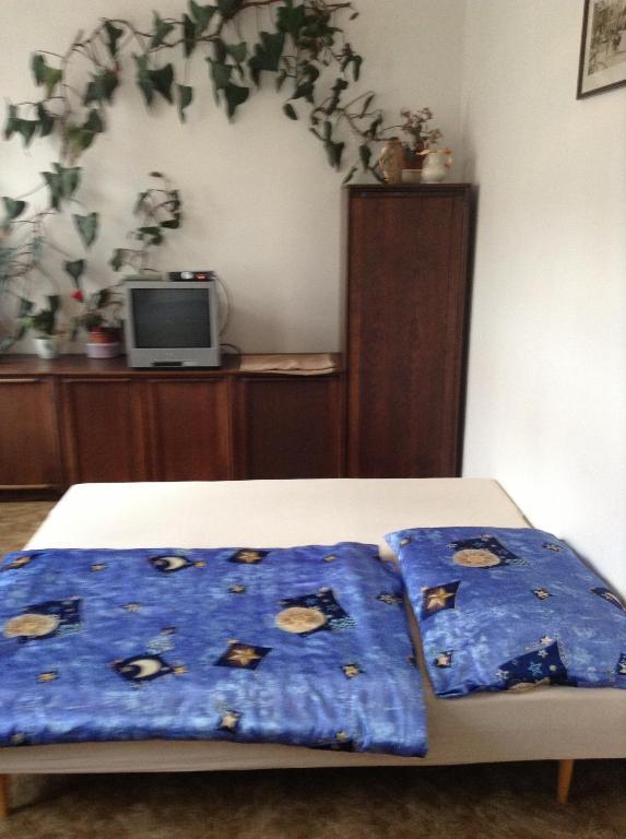 At Pension Ceske Budejovice Habitación foto