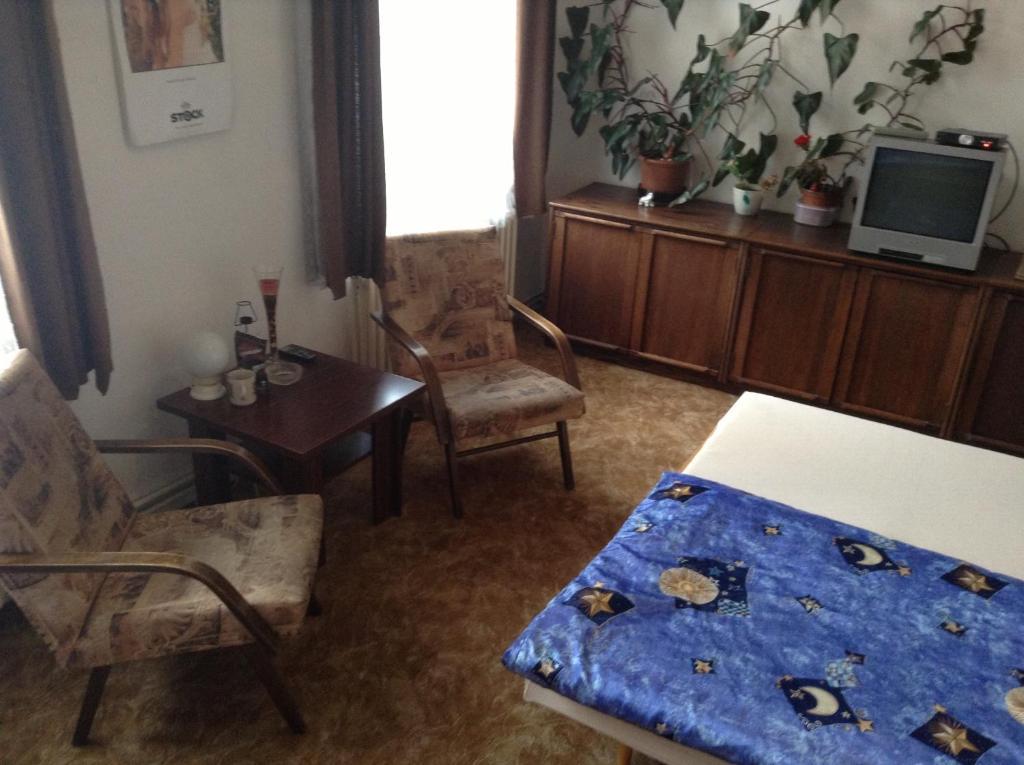 At Pension Ceske Budejovice Habitación foto